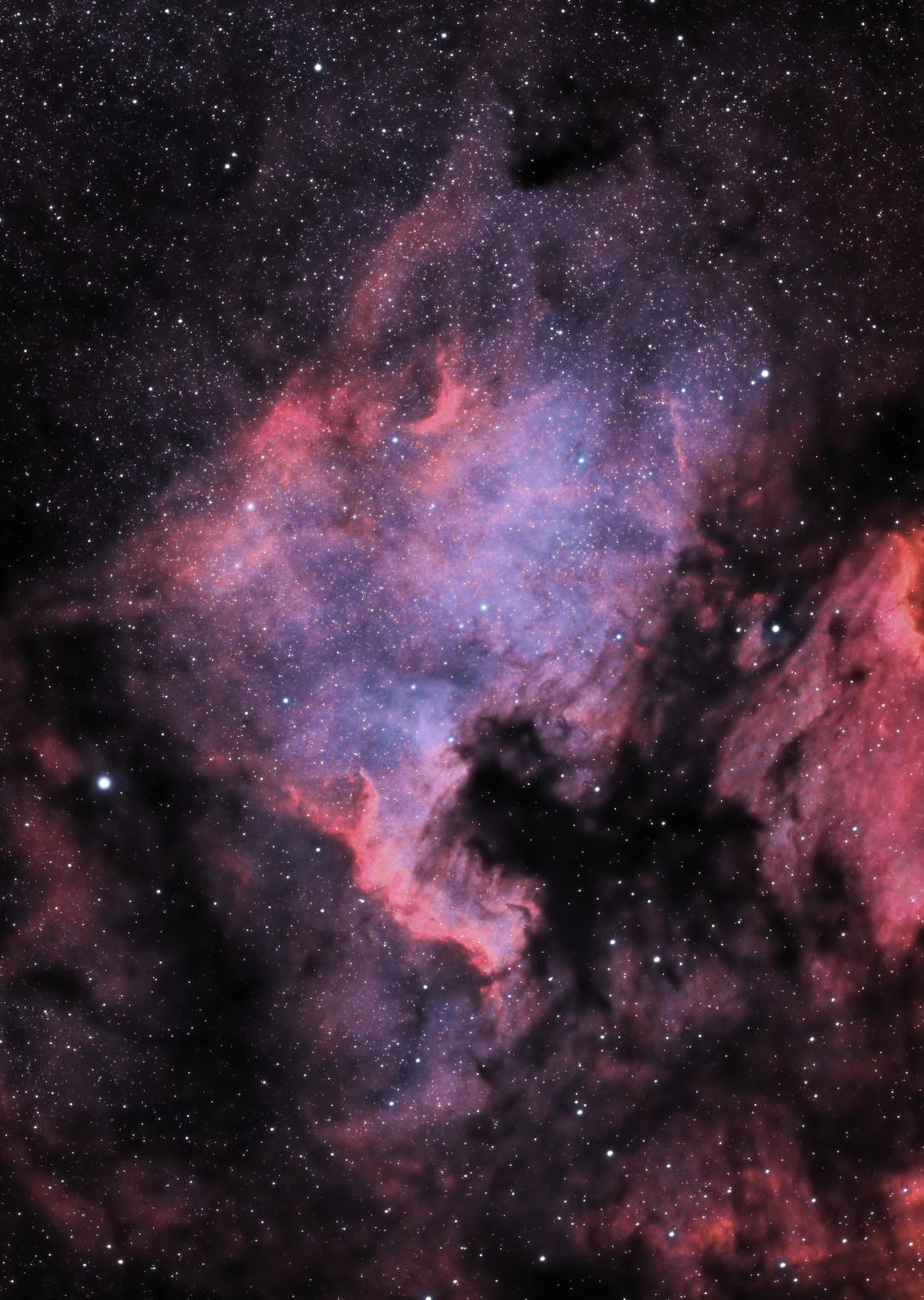 NGC7000_Cropped (Large).jpg