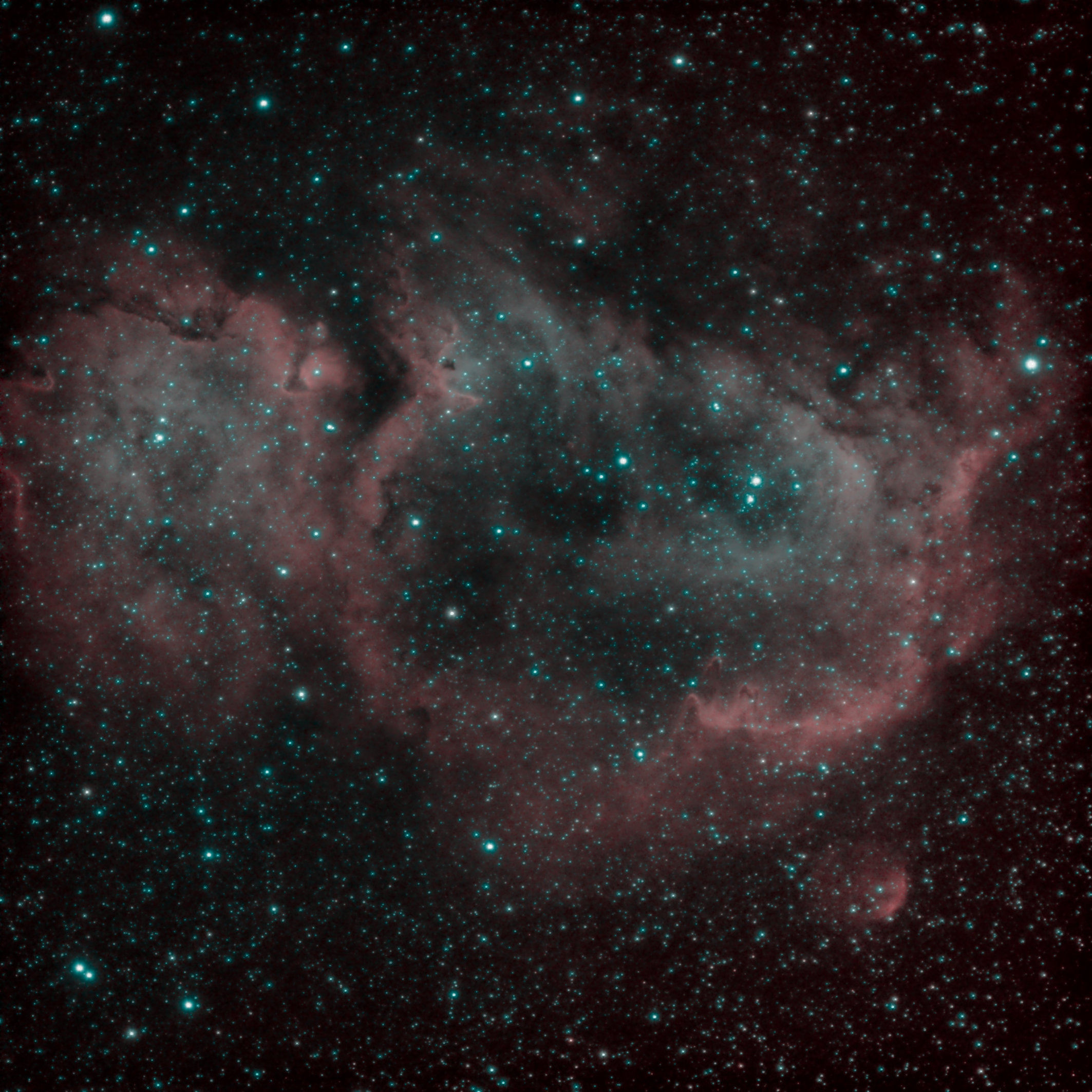 Startools Soul Nebula Bi colour.Jpg