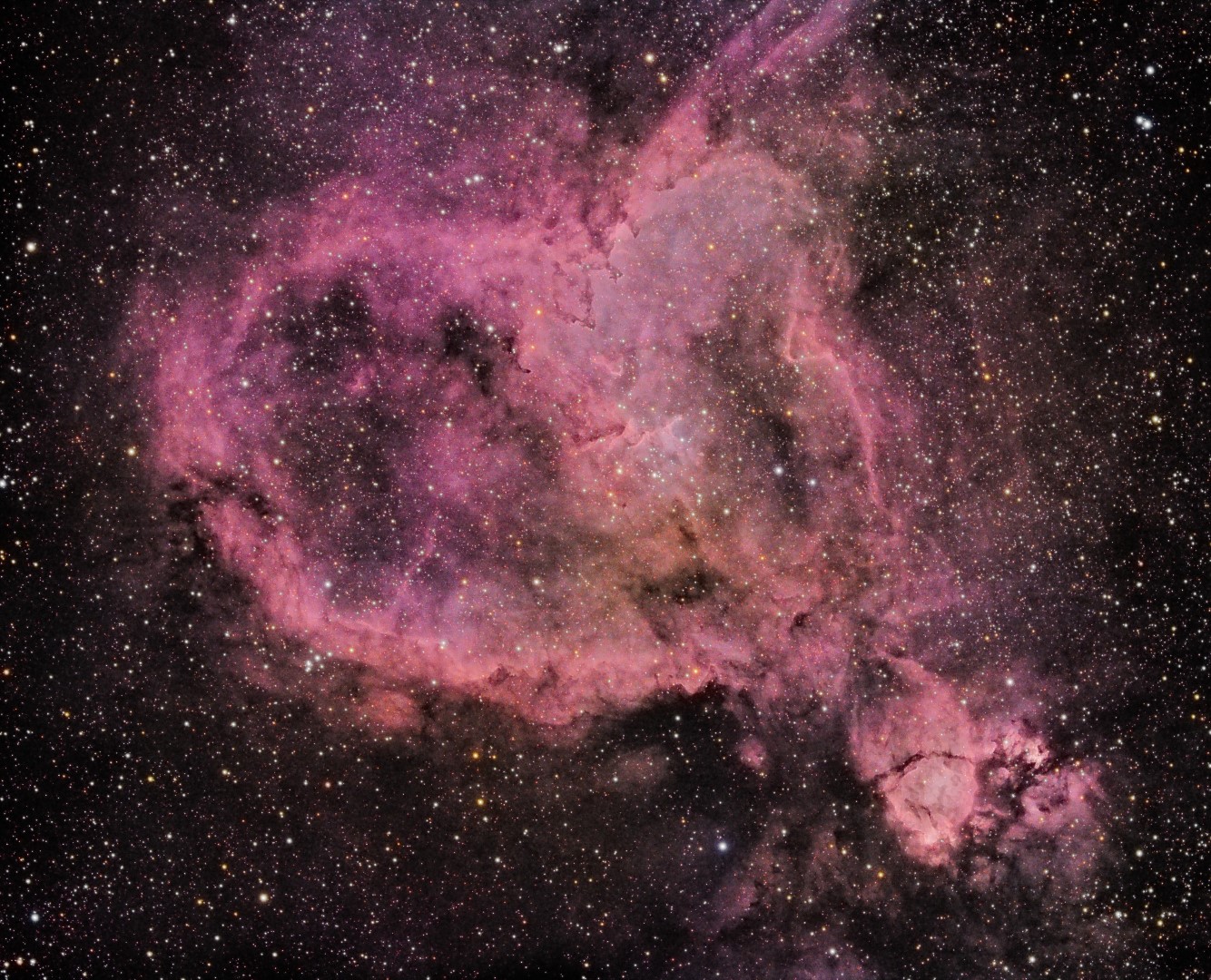 IC1805pink (Large).jpg