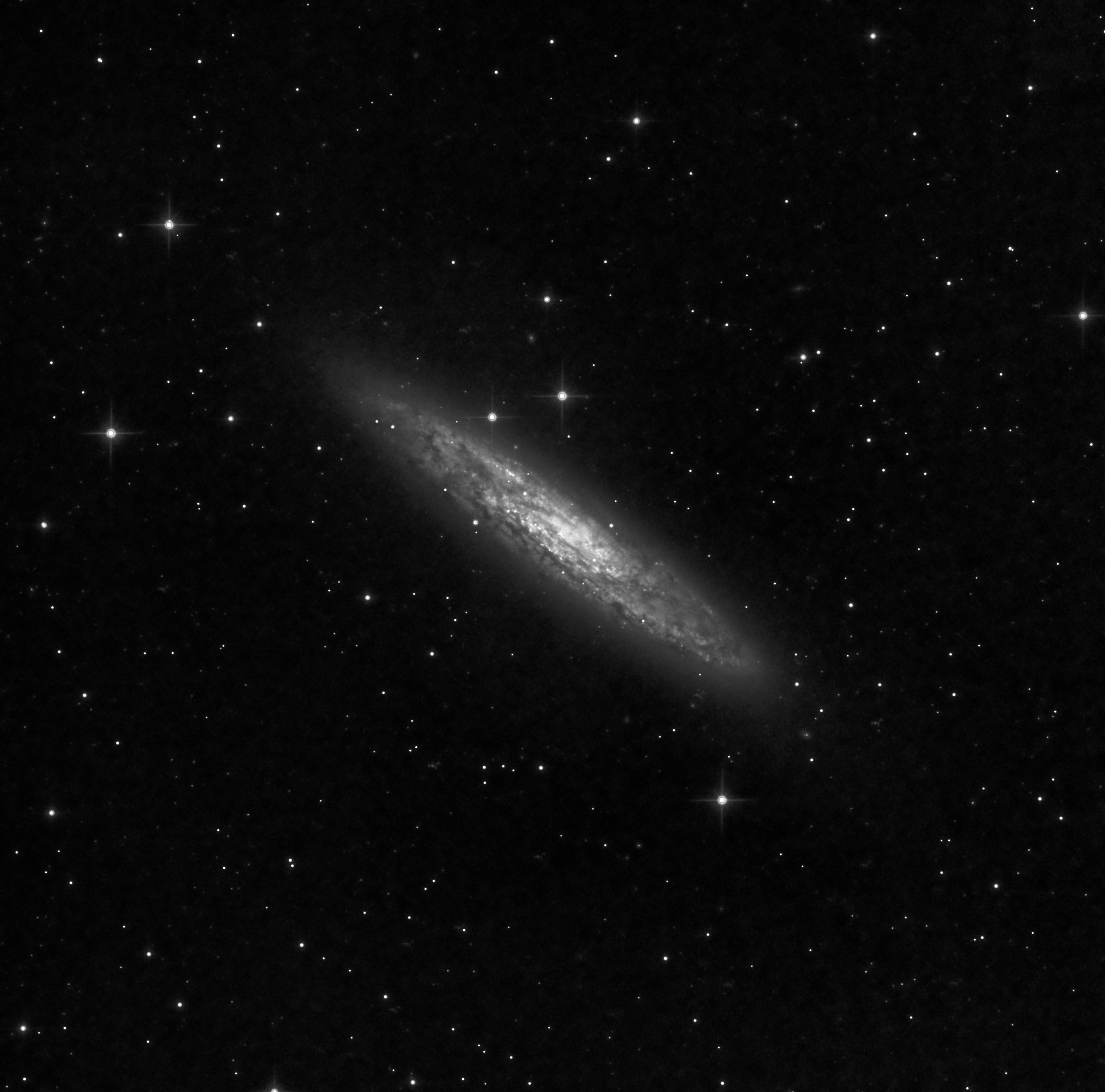 NGC 253 Sculptor Galaxy Synthetic Luminance rev 1.jpeg