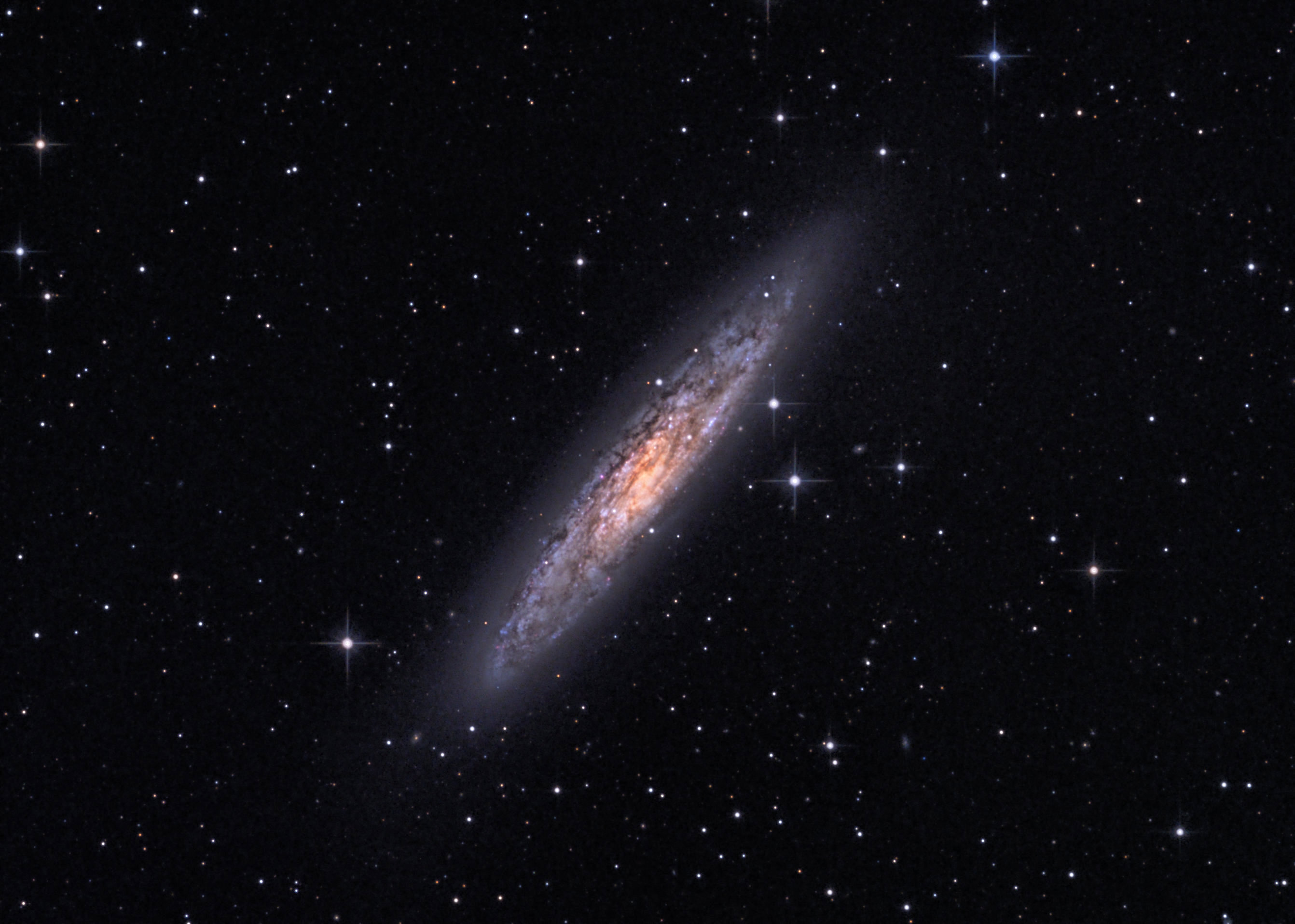 NGC 253 Sculptor Galaxy Colour rev 1A.jpeg